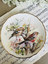 Load image into Gallery viewer, Royal Albert decorative plate Garden Birds ‘chaffinch’
