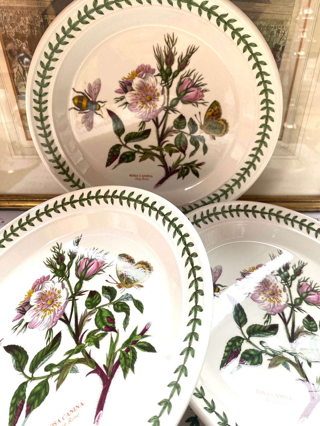 Set of 4 Portmerion plates