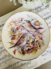 Load image into Gallery viewer, Royal Albert decorative plate Garden Birds ‘Trish’
