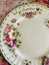 Load image into Gallery viewer, Royal Albert flower of the month salad plate for October 21cm
