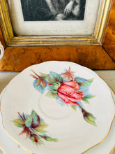 Load image into Gallery viewer, Royal Standard Harry Wheatcroft roses series ‘rendezvous’
