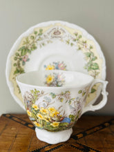 Load image into Gallery viewer, Royal Doulton Bramley Hedge Teacup and saucer Spring
