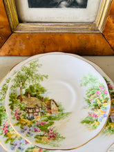 Load image into Gallery viewer, Beautiful Roslyn china teacup trio ‘wayside’
