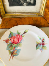 Load image into Gallery viewer, Royal Standard Harry Wheatcroft roses series ‘rendezvous’

