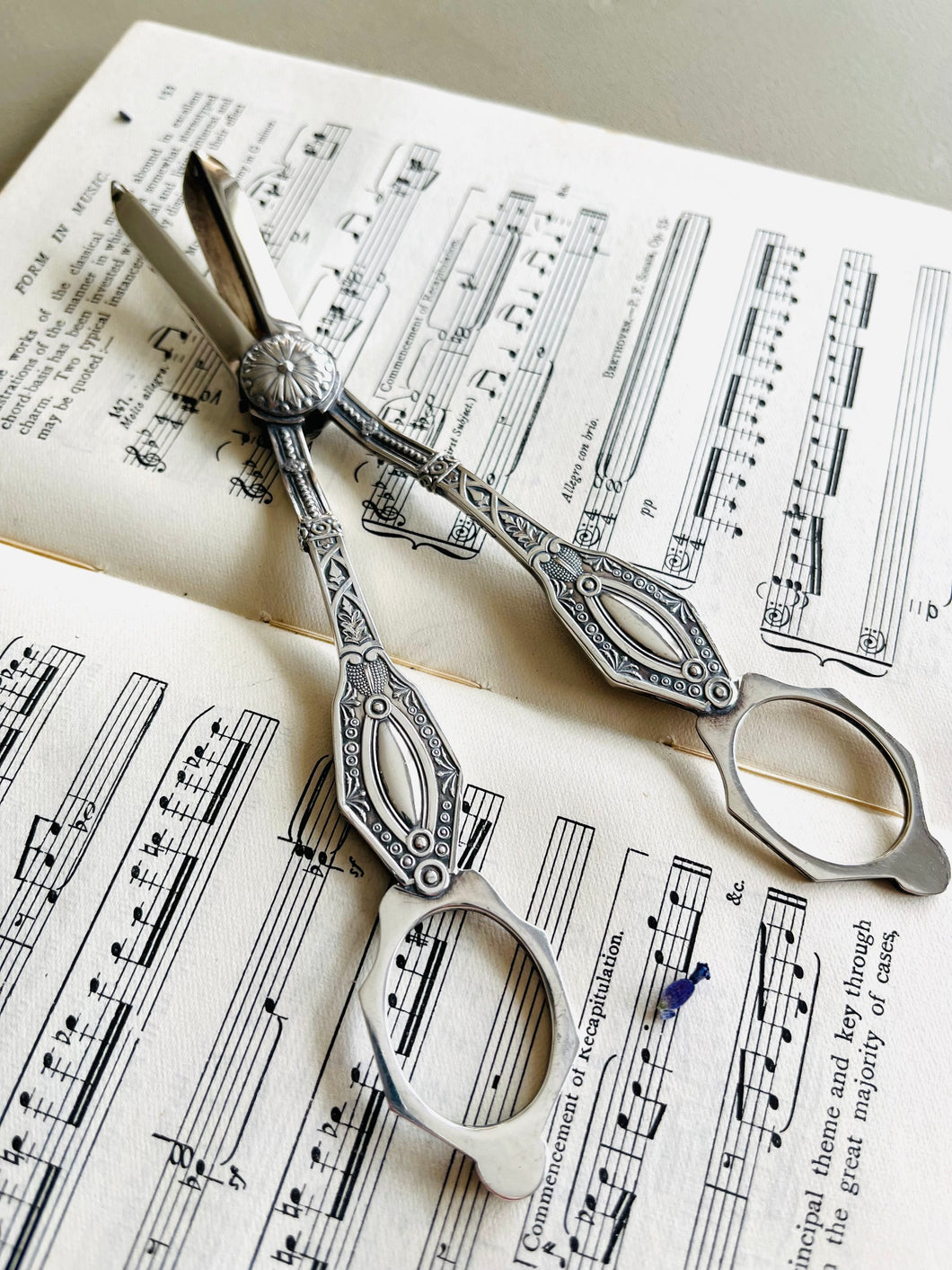 Silver plated vintage grape scissors