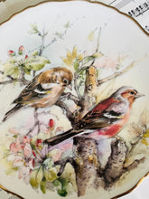 Load image into Gallery viewer, Royal Albert decorative plate Garden Birds ‘chaffinch’
