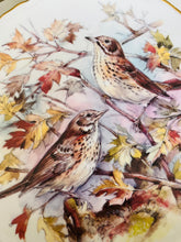 Load image into Gallery viewer, Royal Albert decorative plate Garden Birds ‘Trish’
