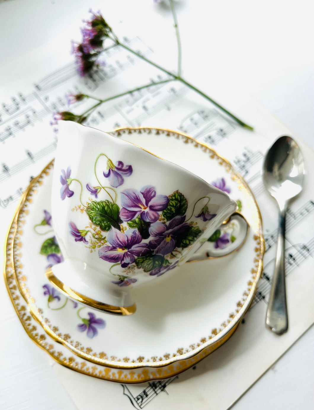 Stunning Paragon china vintage teacup trio ‘violets’