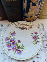 Load image into Gallery viewer, Royal Albert flower of the month teacup trio ‘September’
