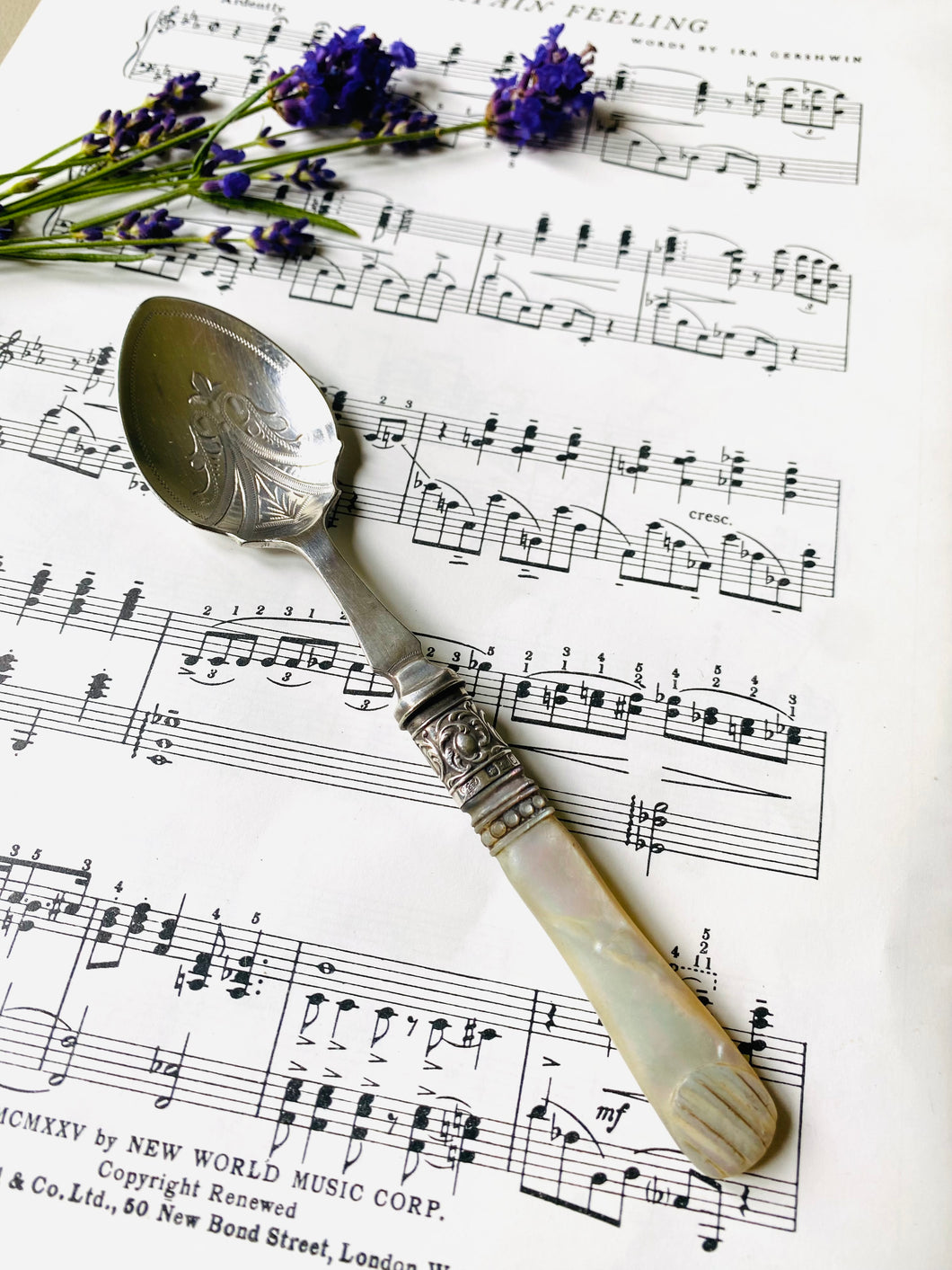 beautifully engraved silver plated antique jam spoon with mother of pearl handle