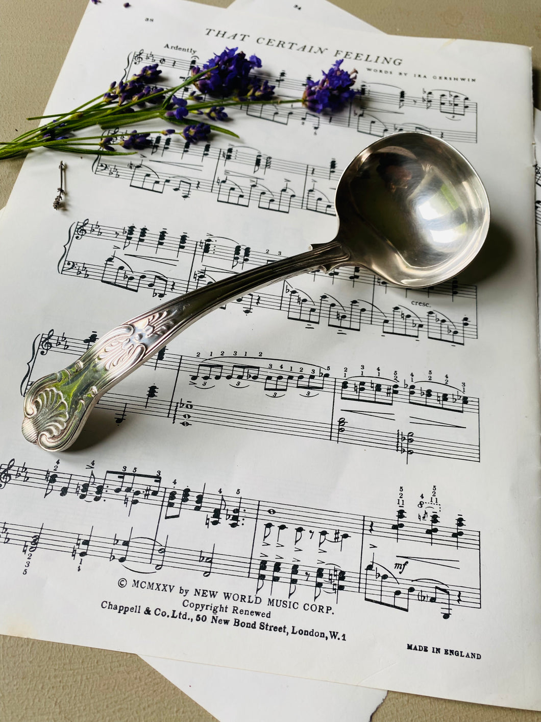 vintage silver plated ladle in the kings pattern