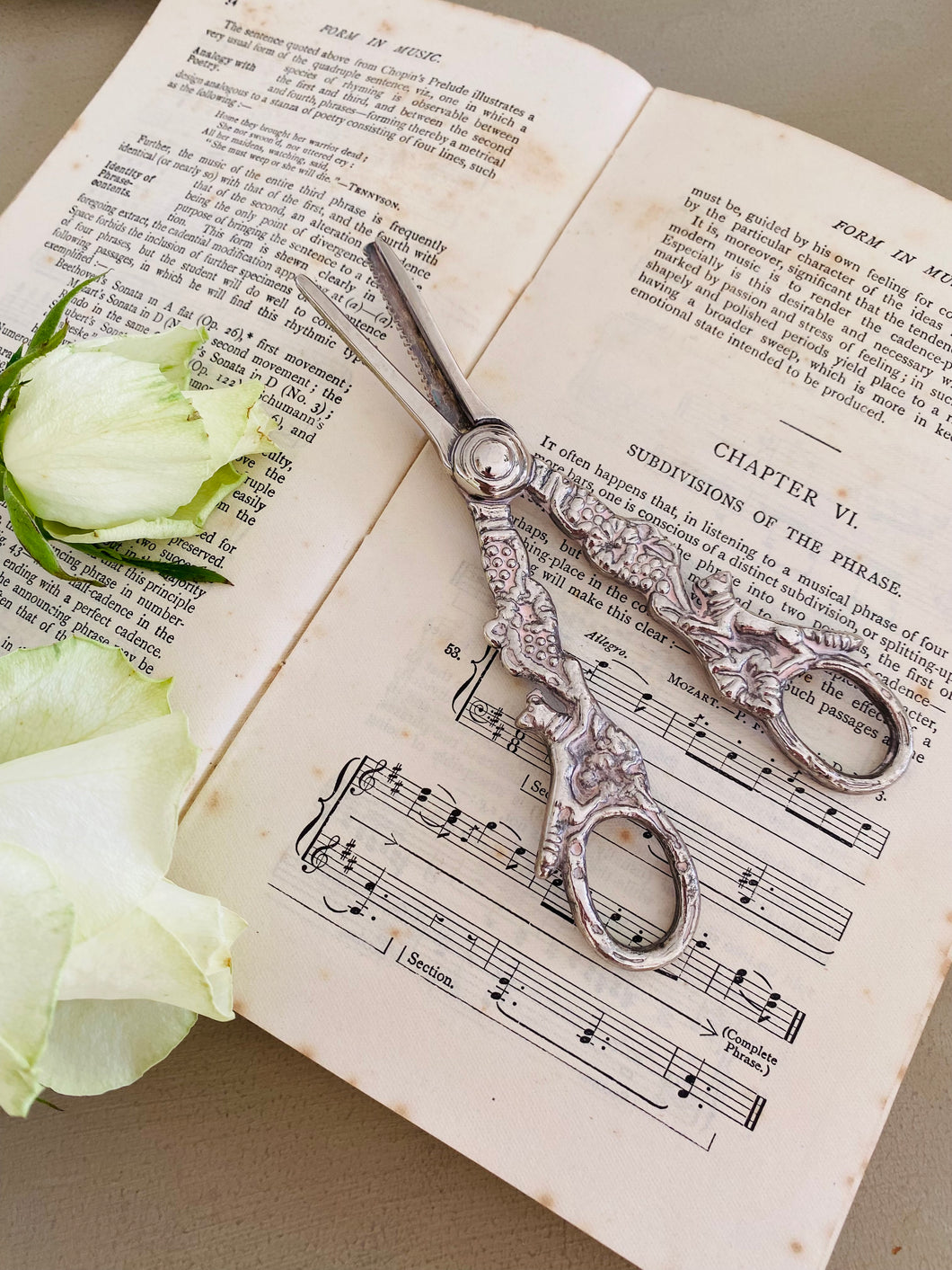 Silver plated vintage grape scissors