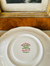 Load image into Gallery viewer, Royal Standard Harry Wheatcroft roses series ‘rendezvous’
