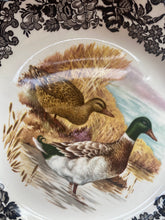 Load image into Gallery viewer, Set of 4 Royal Worcester medium sized plates ‘Game Series’
