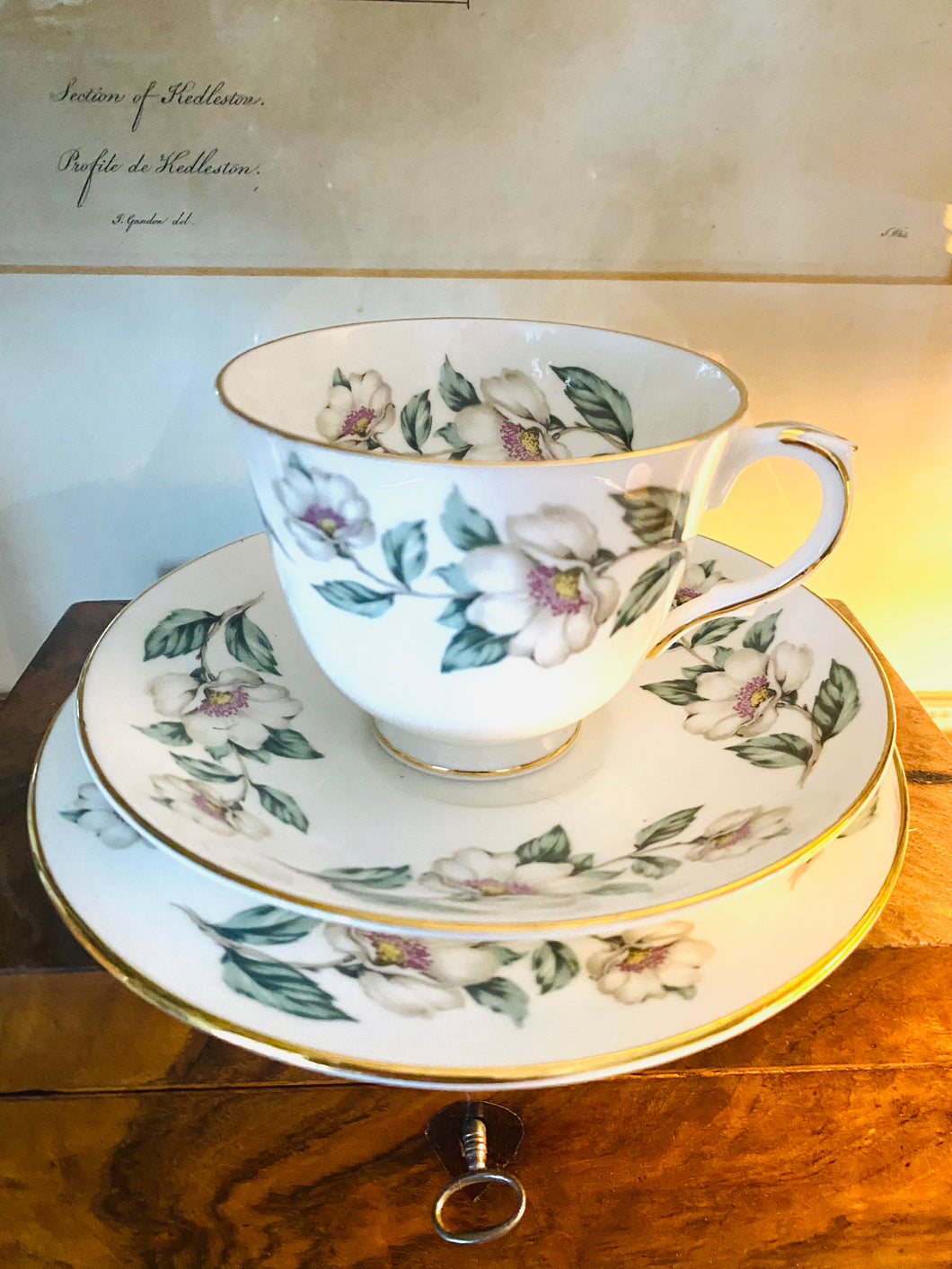 Crown Staffordshire white rose vintage teacup trio