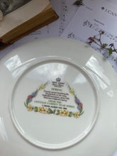 Load image into Gallery viewer, Royal Albert cottage decorative plate ‘Spring’
