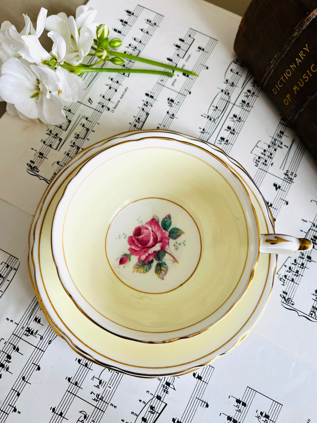 Rare and beautiful Paragon china teacup trio with double warranted backstamp