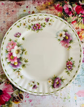 Load image into Gallery viewer, Royal Albert flower of the month salad plate for October 21cm
