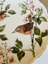 Load image into Gallery viewer, Royal Albert decorative plate ‘Summer Song’
