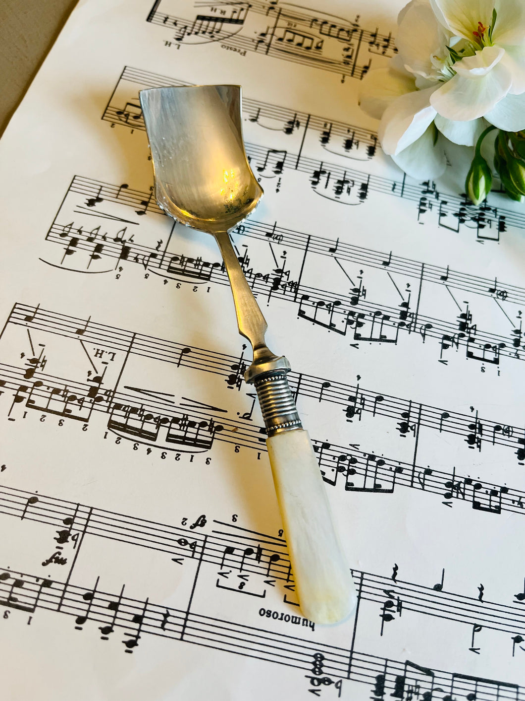 Antique cheese scoop with mother of pearl handle