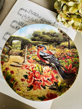 Load image into Gallery viewer, Wedgwood decorative fine bone china plate
