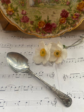 Load image into Gallery viewer, Silver plated jam spoon
