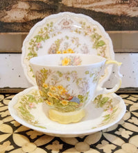 Load image into Gallery viewer, Royal Doulton Bramley Hedge teacup trio ‘Spring’
