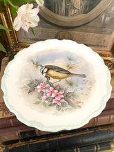Load image into Gallery viewer, Royal Albert woodlands birds series ‘blue titmouse’
