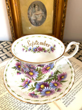 Load image into Gallery viewer, Royal Albert flower of the month teacup and saucer for September
